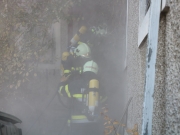 43638152490_06c2bc426e_b