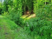 20210520_092559-scaled