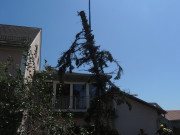 DSCN9784