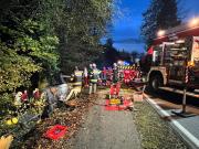 IMG-20231109-WA0035