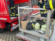 20240316_174036000_iOS