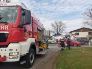 53603973648_cb830b1a17_b