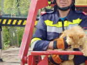 20240407_161539000_iOS_2