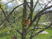 20240407_161747000_iOS