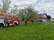IMG-20240410-WA0058