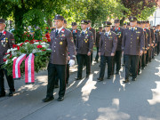 53700176329_e3e28e7064_o