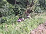 1716902742520 1716902742520