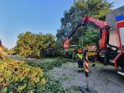IMG-20240710-WA0004 IMG-20240710-WA0004