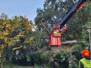 IMG-20240710-WA0005