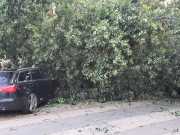 IMG-20240710-WA0009