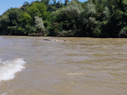 20240716_123955000_iOS_jpeg