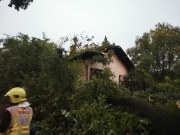 53898841921_8787ba1042_b