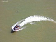 53928178457_d88623a6bb_b