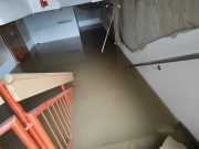 img-20240916-wa0063_54000170209_o img-20240916-wa0063_54000170209_o