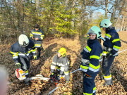 20241102_140909 20241102_140909