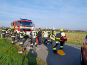 20241102_144601 20241102_144601