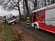 54197129842_3c682a55b7_b