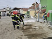 54359856813_624f553d42_b