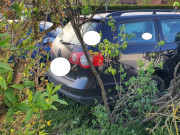 IMG-20250416-WA0016b