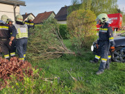 IMG-20250416-WA0020b