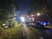 20250701_214707_500x375