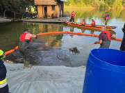 20250719_193426_54665439141_o 20250719_193426_54665439141_o