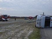 abi-konrad_t03v-weixelbaum-10_54867012597_o