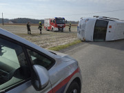 abi-konrad_t03v-weixelbaum-3_54867013492_o