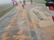 IMG-20260210-WA0007