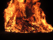 DSCN0135